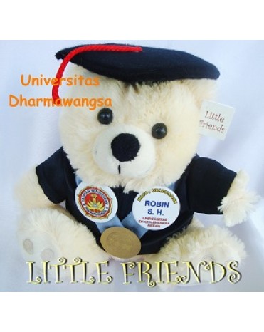 Boneka Wisuda Universitas Dharmawangsa (25 cm)